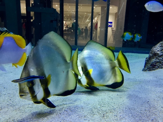 a0258686_06311659.jpeg