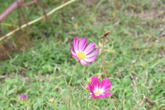 b0329186_08034546.jpg