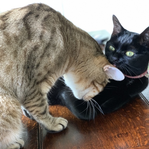 急いで！ 2_e0358096_19461642.jpeg