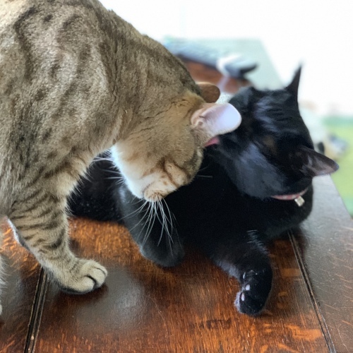 急いで！ 2_e0358096_19463370.jpeg
