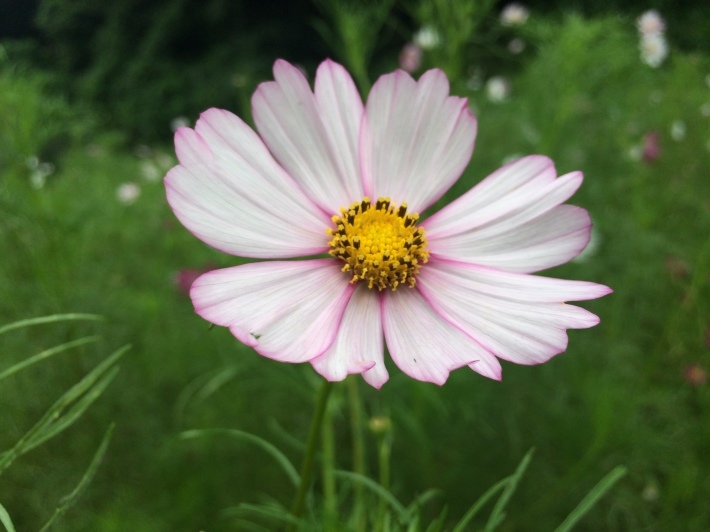 f0201297_23502657.jpg