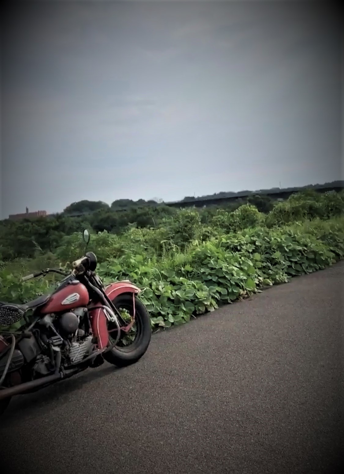 乗る練習が必要な乗り物_a0165898_18211069.jpg