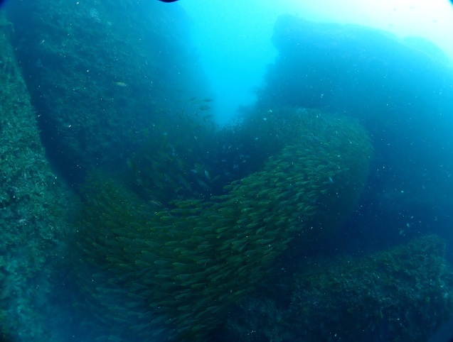 e0115199_13284457.jpg