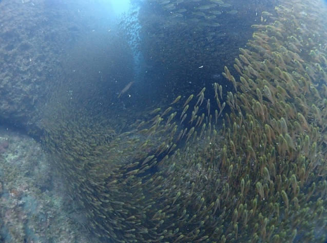 e0115199_13285320.jpg