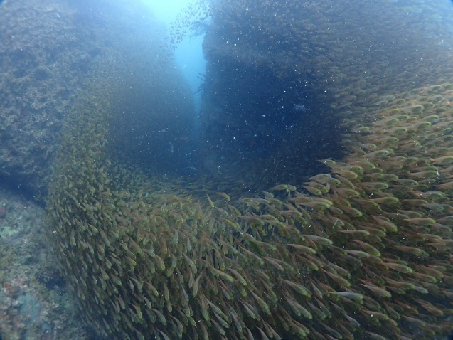 e0115199_13285808.jpg