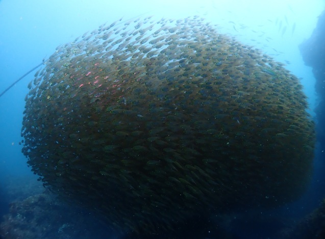 e0115199_13290935.jpg