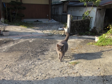 小・中学校跡の金次郎_a0203003_18144898.jpg