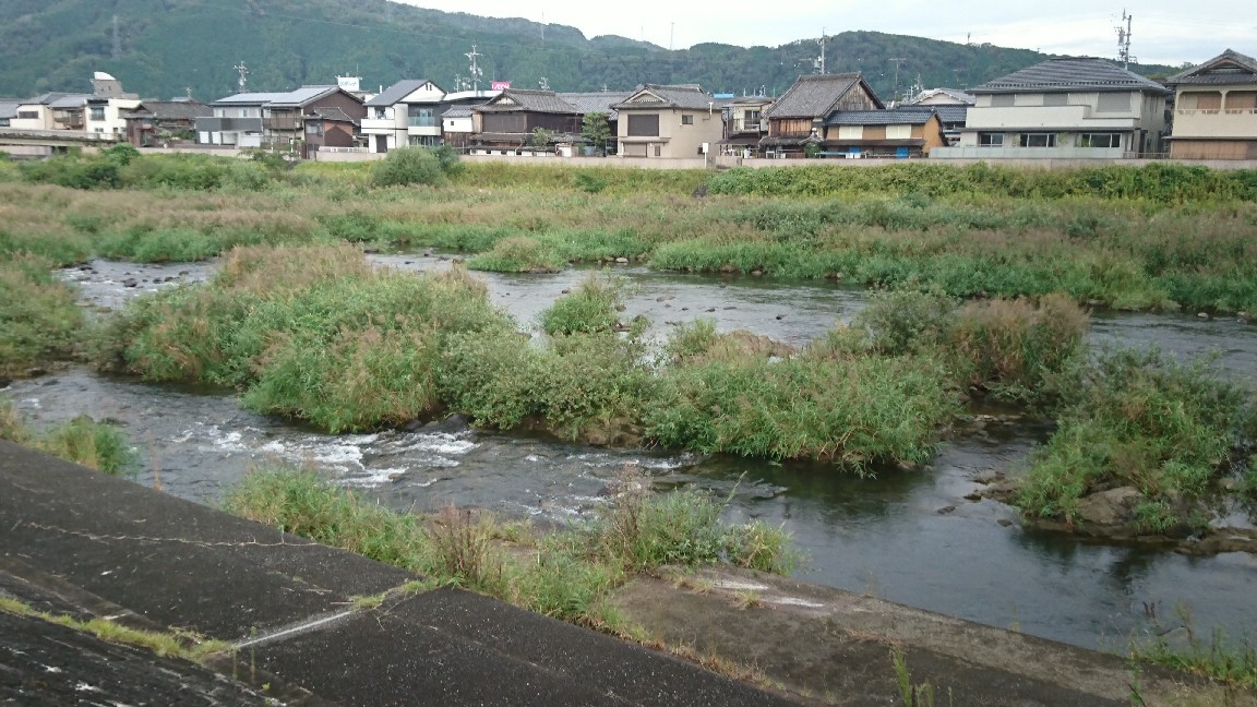 9月28日午前6時半現在 ..._c0266737_06565729.jpg
