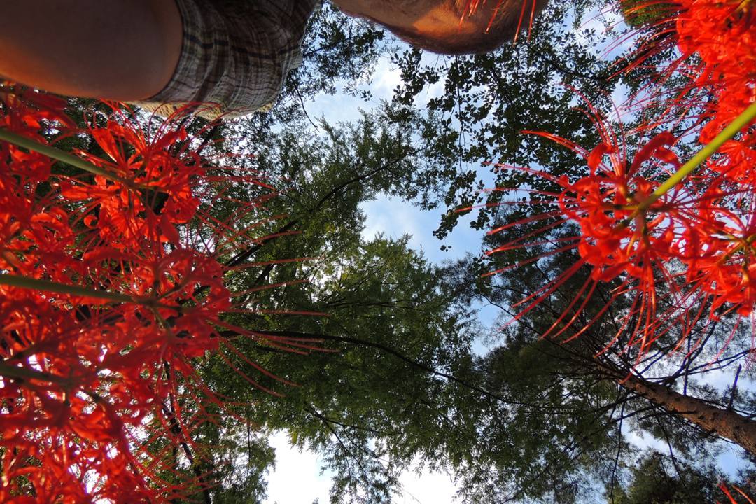 e0403850_06142844.jpg