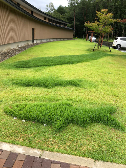 庭園、エコフェスタ、クニマス未来館、旧池田氏庭園_b0093660_15012966.jpg