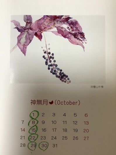 2019年10月の定休日_b0246670_11482405.jpeg