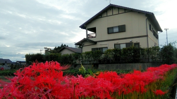 新月の本音***_e0290872_22091404.jpg
