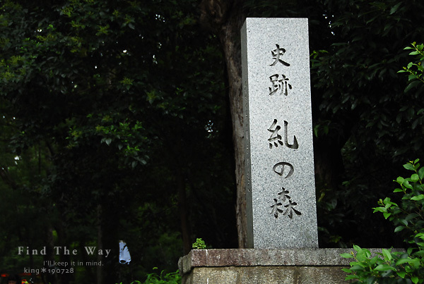 【散歩日和】京都 5/8 下鴨神社_f0054594_17442925.jpg