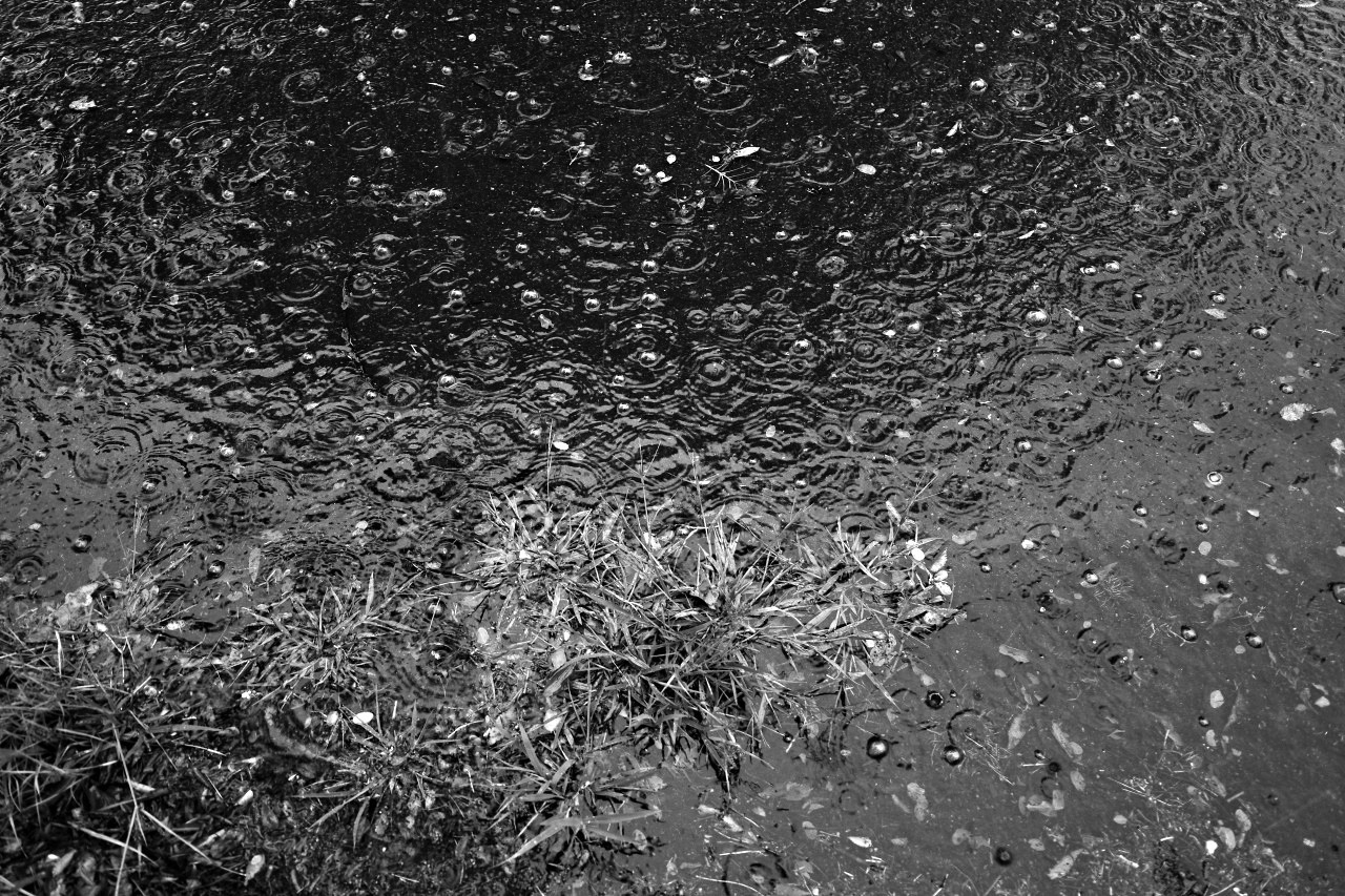 曼殊沙華 2019#06 秋の雨だよ・・・_c0082800_16384018.jpg