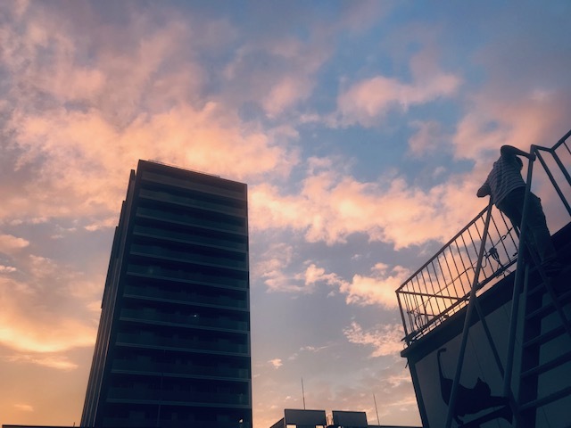 手術から1ヶ月~!_a0050302_10151422.jpg