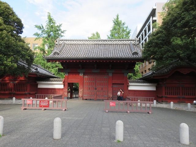 赤門(新江戸百景めぐり㊲)_c0187004_16402640.jpg