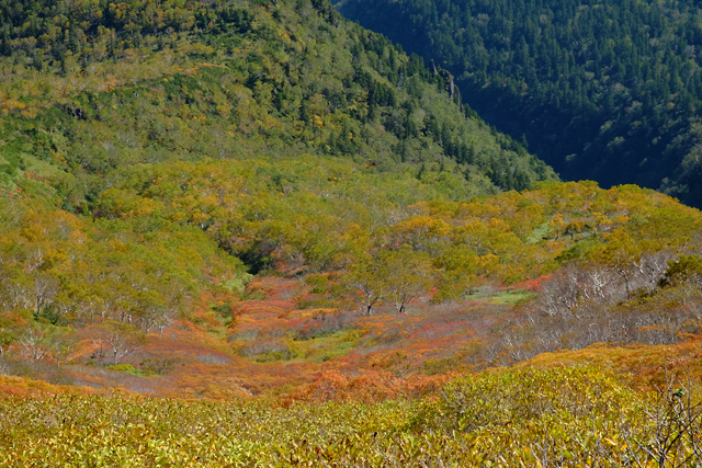 北海道!秋の黒岳_f0179404_13275766.jpg