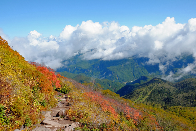 北海道!秋の黒岳_f0179404_13343098.jpg