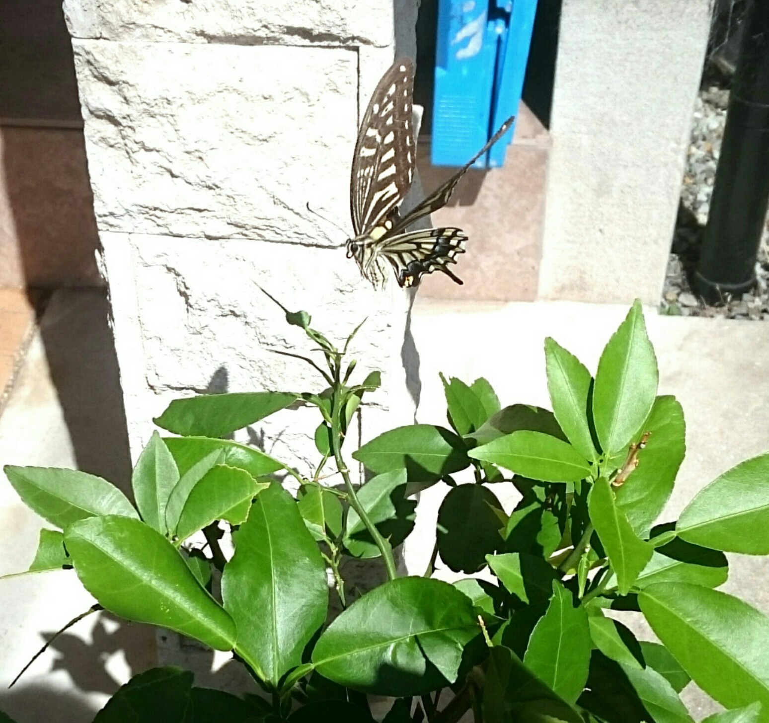 a0361610_14371608.jpg