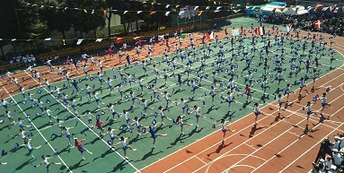 a0108328_15562628.jpg