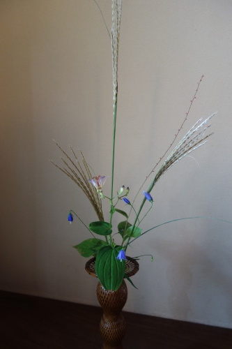 秋草を楽しむ1_a0197730_13305757.jpg