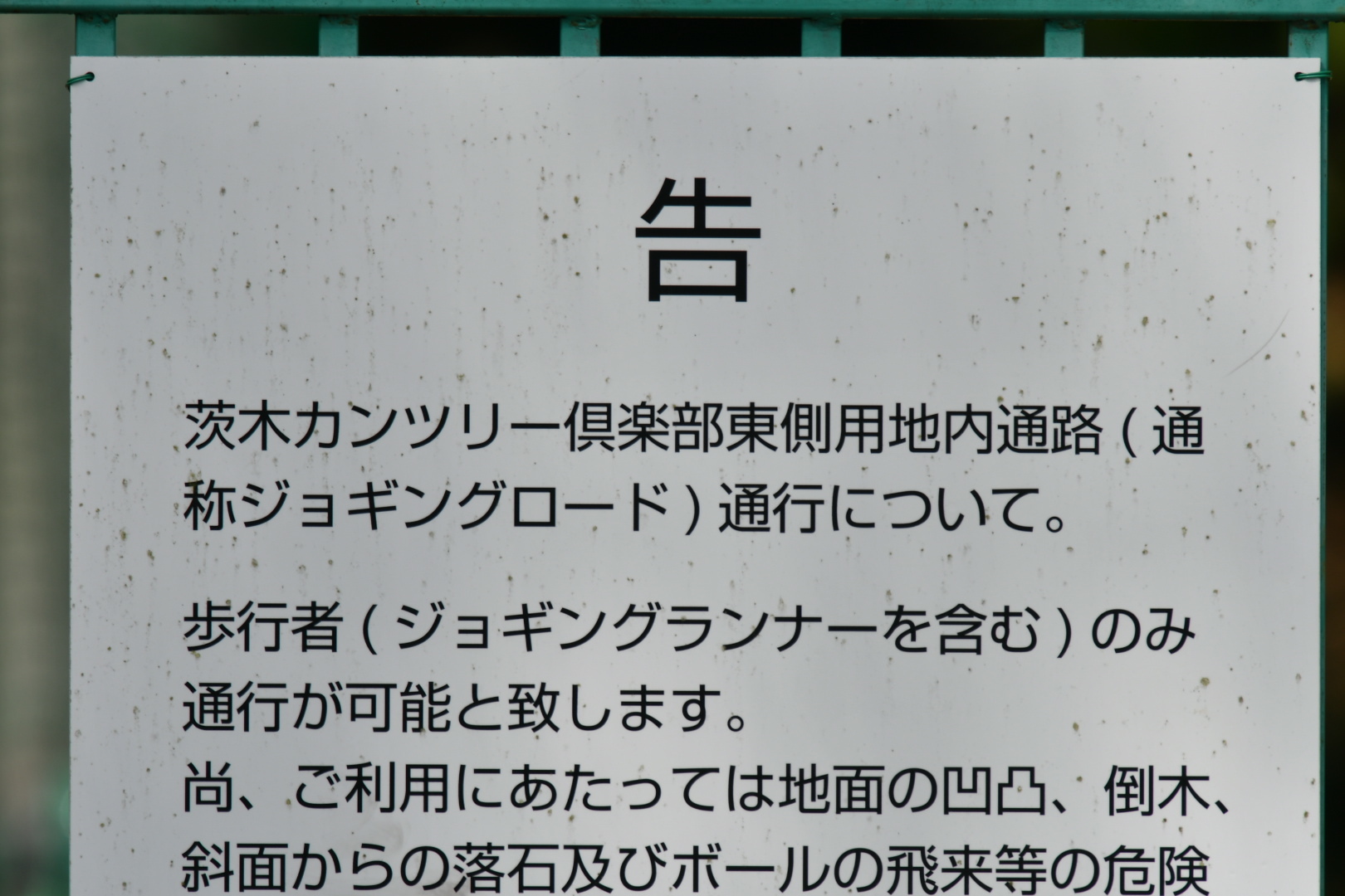 茨木カントリー倶楽部　ニトベハラボソツリアブ他_f0340732_21231970.jpg