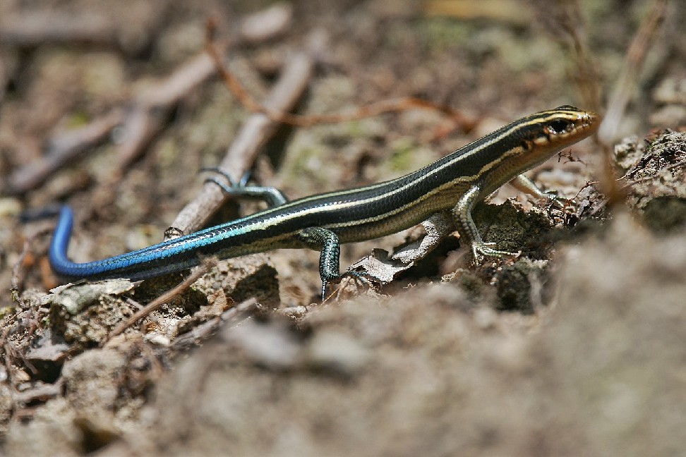 f0340732_21294125.jpg