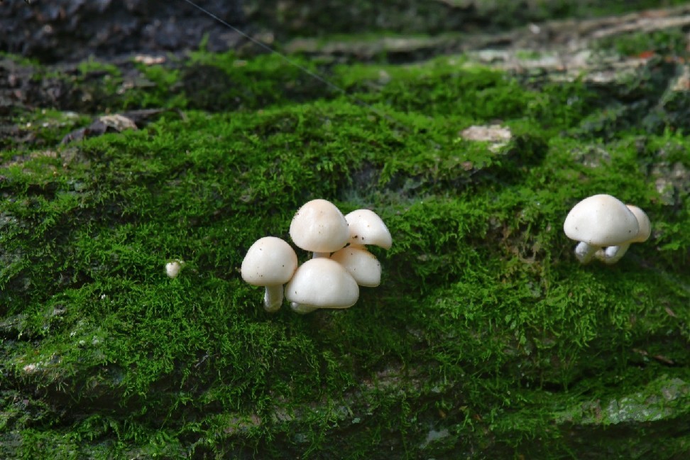 f0340732_21294224.jpg