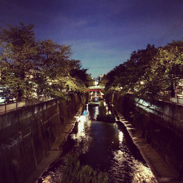 板橋区中板橋 / iPhone 8_c0334533_01070503.jpg