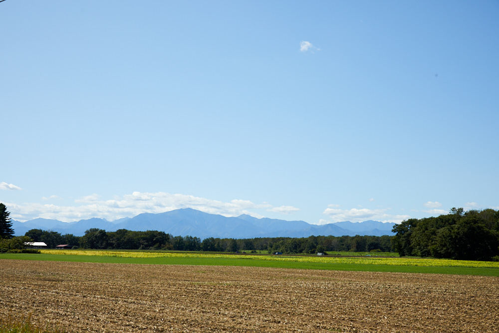 d0139939_13202446.jpg