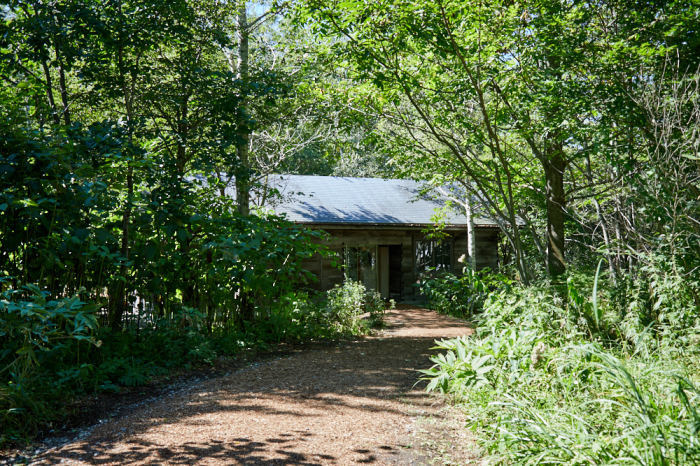 d0139939_13202476.jpg