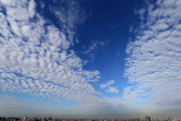 e0234741_23152032.jpg