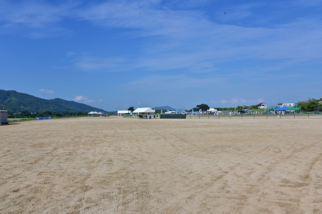 b0249247_22282095.jpg