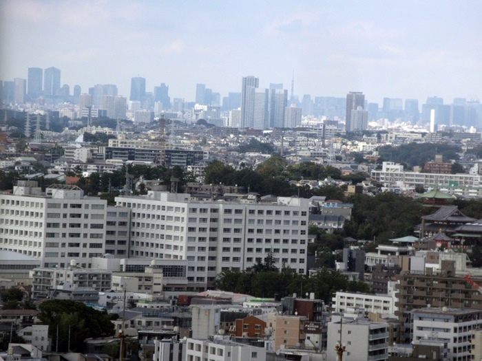 【おやつタイムのクラブラウンジ】横浜ベイシェラトン_b0009849_22162275.jpg