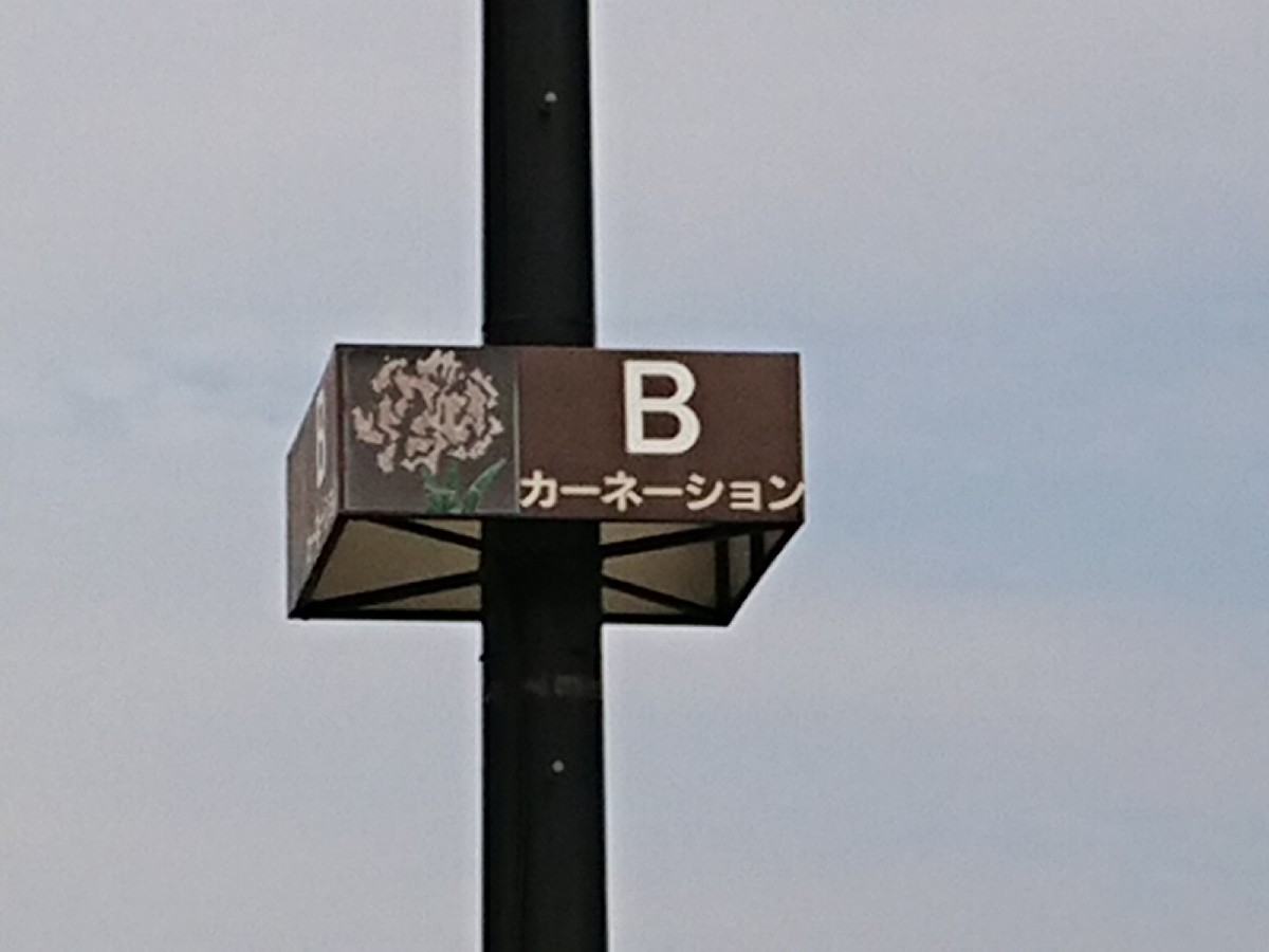 鬼嫁娘日記(笑_c0100865_06491782.jpg