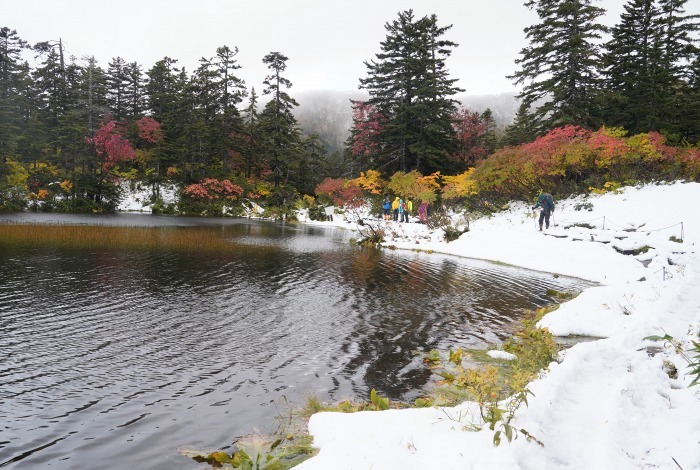 ここは真冬か 過酷な大雪高原沼巡り Turfに魅せられて 写真紀行 ここは真冬か 過酷な大雪高原沼巡り Turfに魅せられて 写真紀行