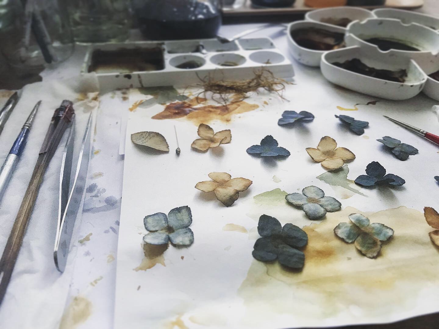 秋色紫陽花_f0134670_19022564.jpeg