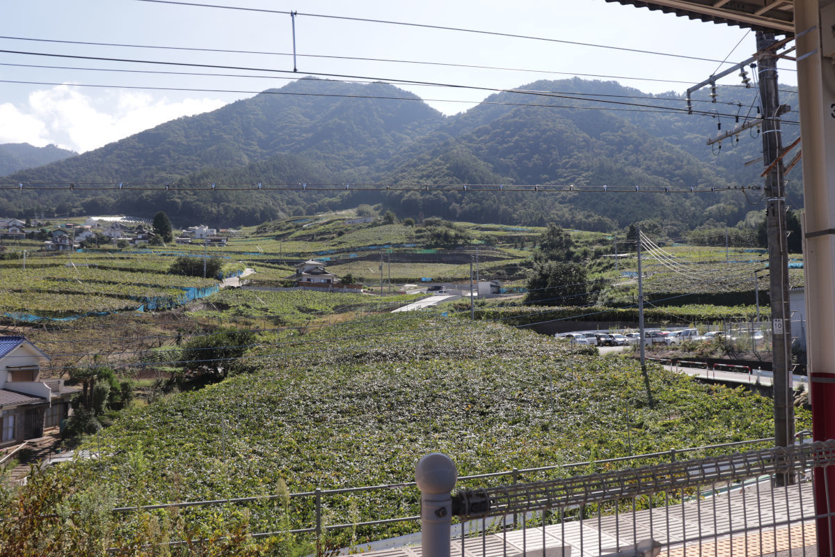 a0332275_21081351.jpg