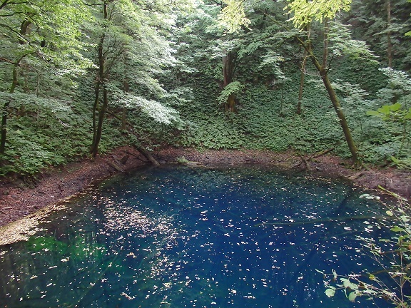 青森旅19その2 白神山地の十二湖 緑のかたつむり 青森旅19その2 白神山地の十二湖 緑のかたつむり