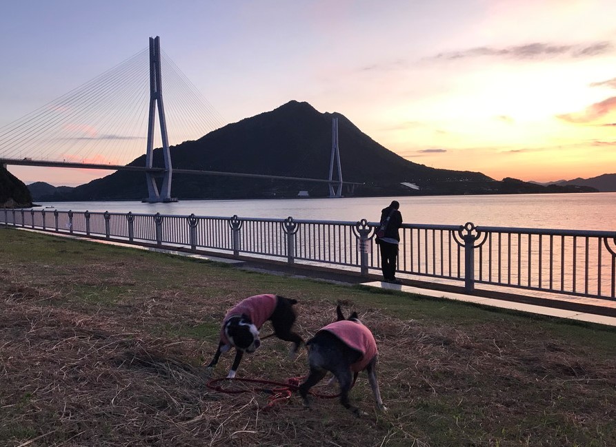 秋旅～松山城、道後温泉から四国カルストへ_b0184877_15211981.jpg