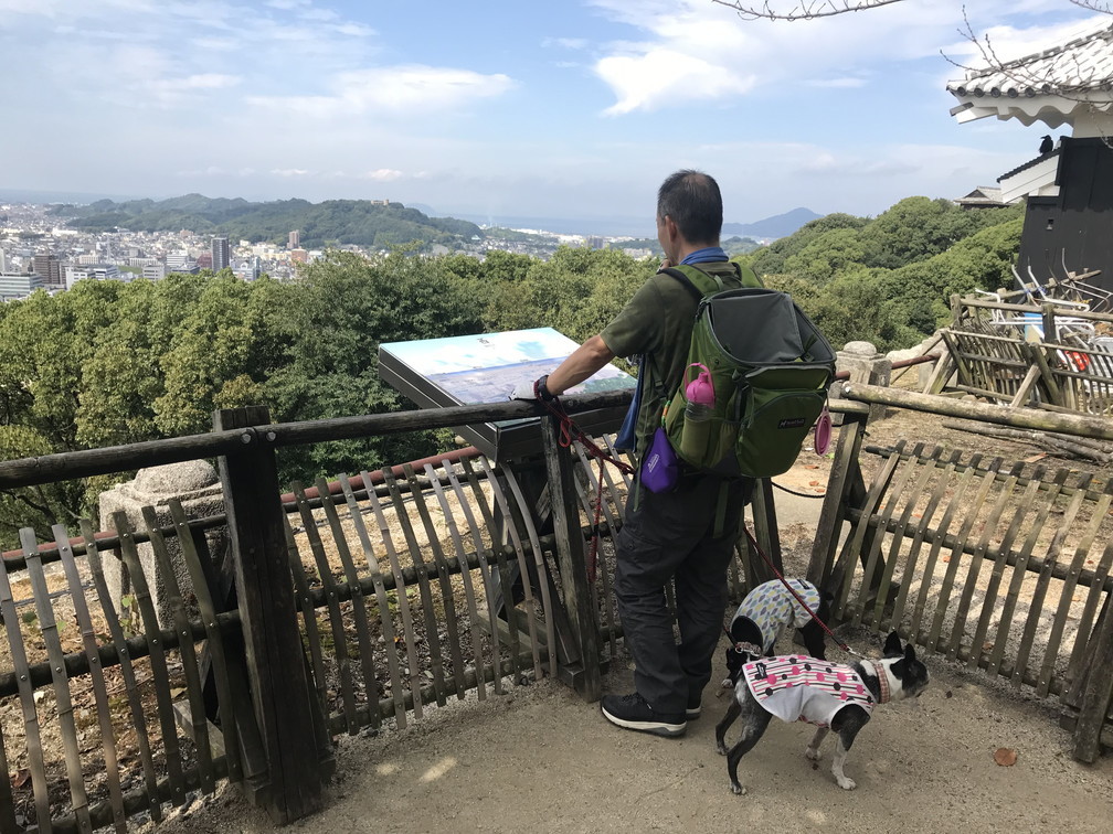 秋旅～松山城、道後温泉から四国カルストへ_b0184877_15333531.jpg