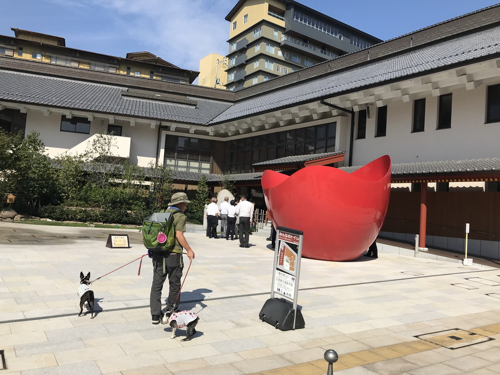 秋旅～松山城、道後温泉から四国カルストへ_b0184877_16004333.jpg