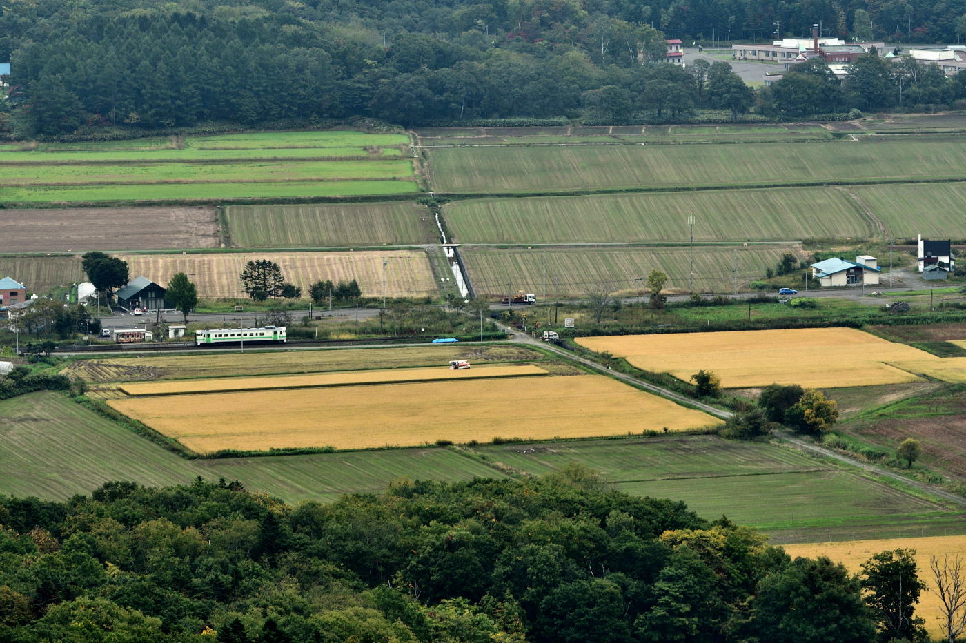 中小屋駅・最後の稲刈り_b0001380_23040657.jpg