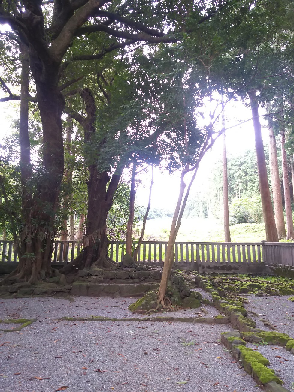 富士山麓 浅間神社めぐり2_f0302381_16224306.jpg