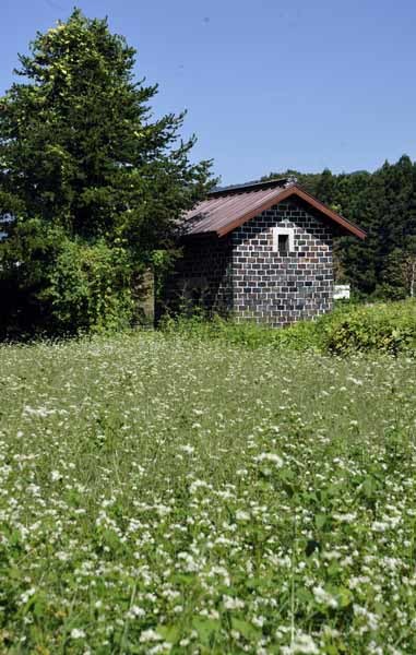 カラミ煉瓦の蔵と蕎麦の花_f0173596_11341211.jpg