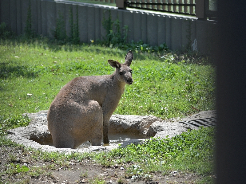 a0164204_13574058.jpg