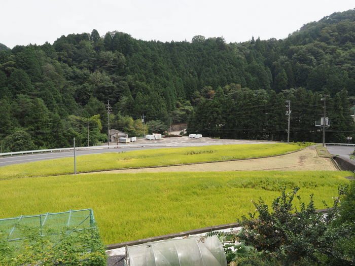 晴れのち曇り_c0116915_01172184.jpg