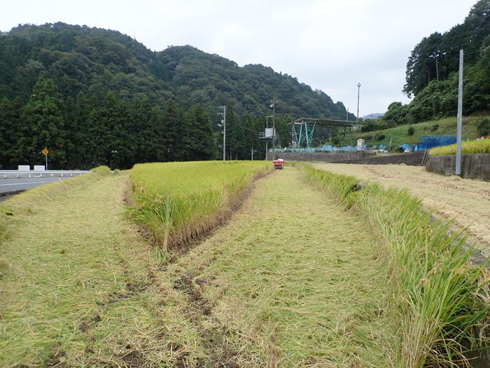 稲刈り_c0116915_01253665.jpg