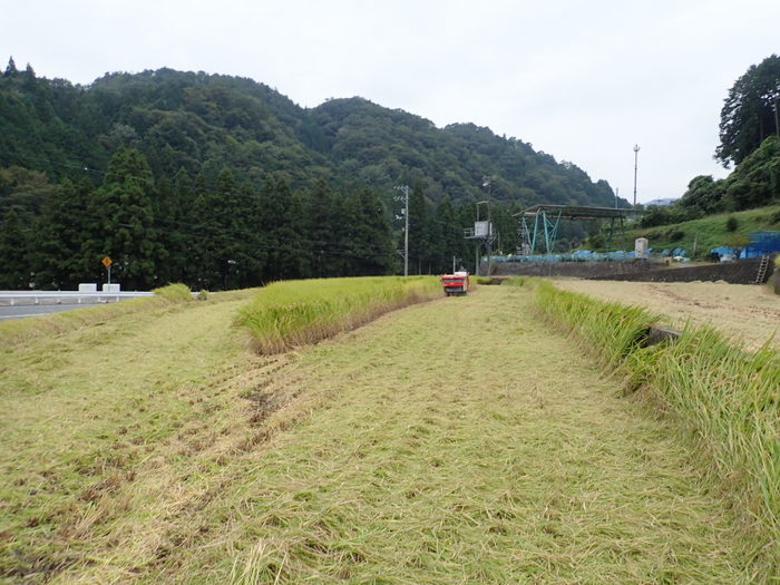 稲刈り_c0116915_01254688.jpg