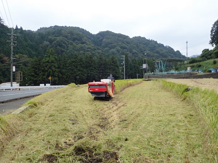 稲刈り_c0116915_01270986.jpg